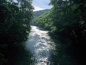 浅草橋駅徒歩3分の快適ビジネスホテル｜東横INNアキバ浅草橋駅東口の魅力と詳細情報